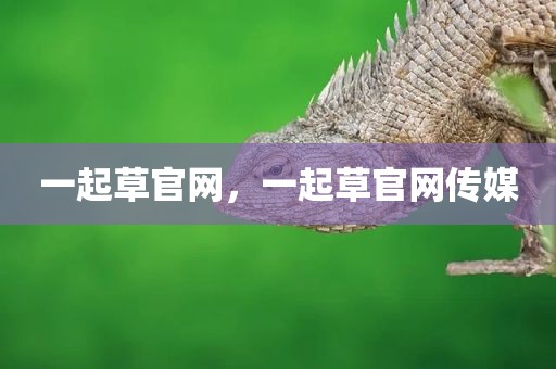 一起草官网，一起草官网传媒