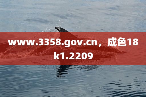 www.3358.gov.cn，成色18k1.2209