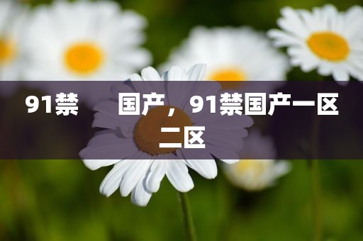 91禁      国产，91禁国产一区二区