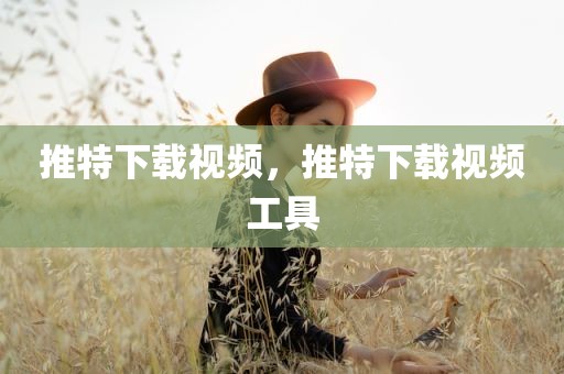 推特下载视频，推特下载视频工具