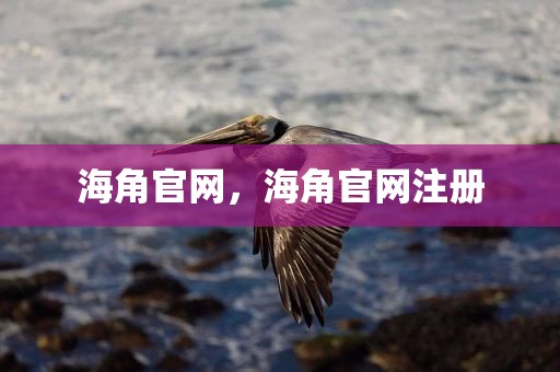 海角官网，海角官网注册