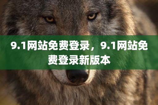 9.1网站免费登录，9.1网站免费登录新版本