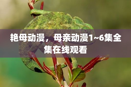艳母动漫，母亲动漫1~6集全集在线观看