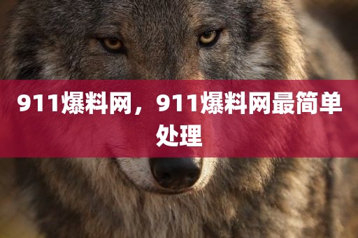 911爆料网，911爆料网最简单处理
