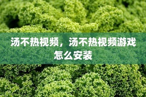 汤不热视频，汤不热视频游戏怎么安装