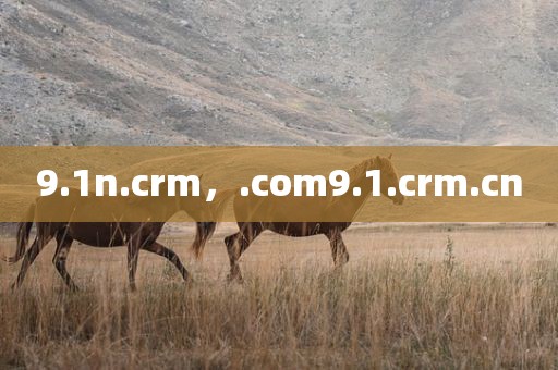 9.1n.crm，.com9.1.crm.cn