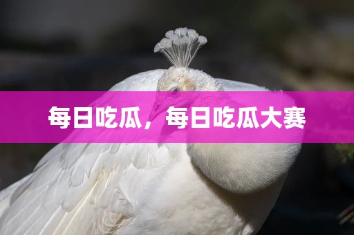 每日吃瓜，每日吃瓜大赛