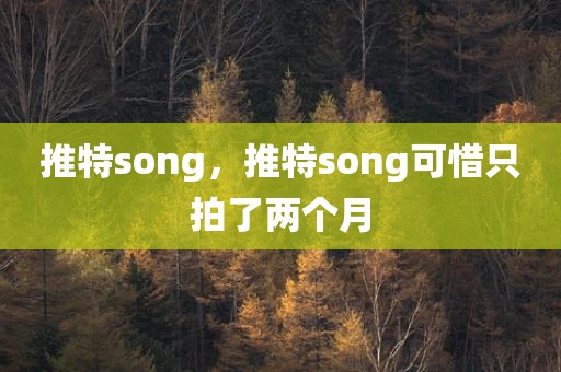 推特song，推特song可惜只拍了两个月