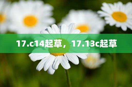 17.c14起草，17.13c起草