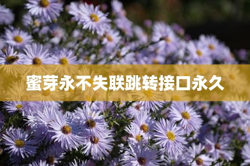 蜜芽永不失联跳转接口永久