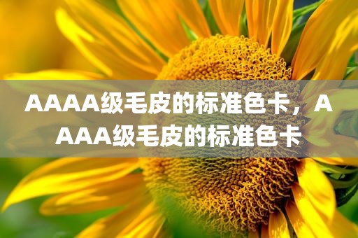 AAAA级毛皮的标准色卡，AAAA级毛皮的标准色卡