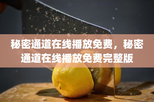 秘密通道在线播放免费，秘密通道在线播放免费完整版