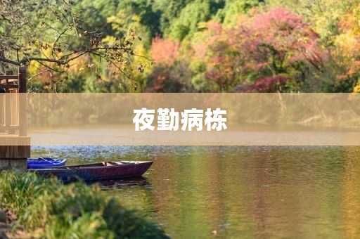 夜勤病栋