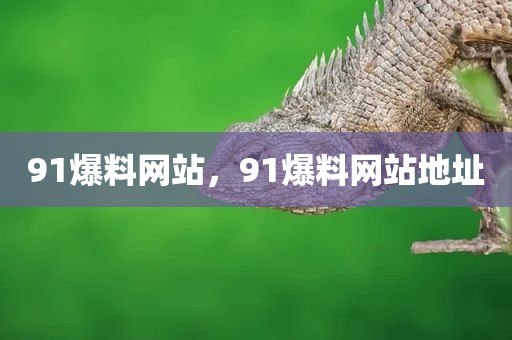 91爆料网站，91爆料网站地址