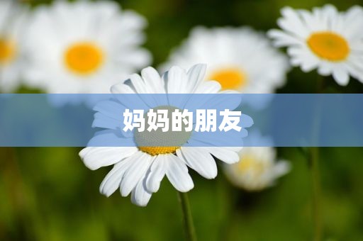 妈妈的朋友