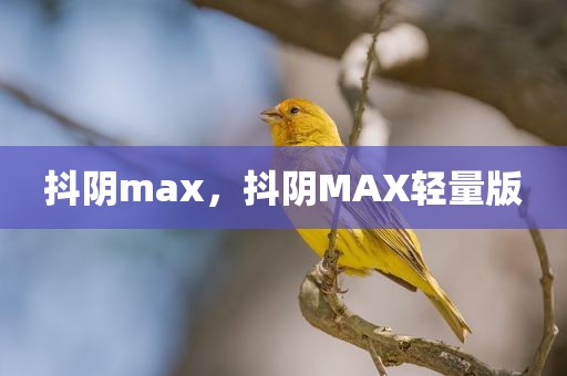 抖阴max，抖阴MAX轻量版