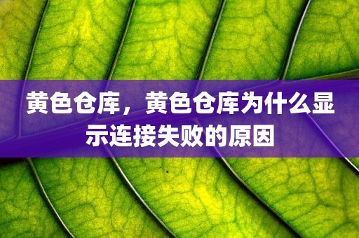 黄色仓库，黄色仓库为什么显示连接失败的原因