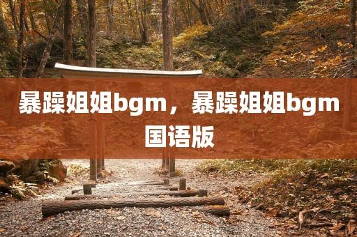 暴躁姐姐bgm，暴躁姐姐bgm国语版