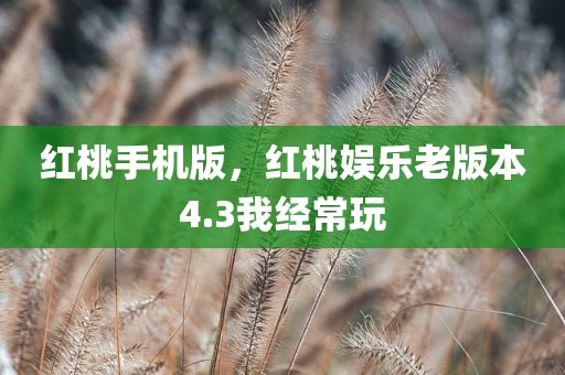 红桃手机版，红桃娱乐老版本4.3我经常玩