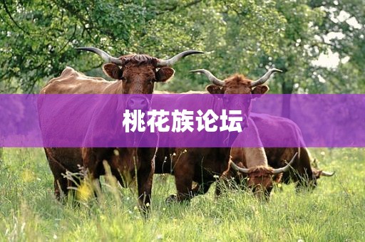 桃花族论坛