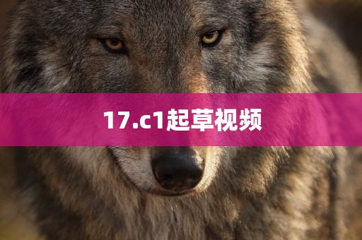 17.c1起草视频