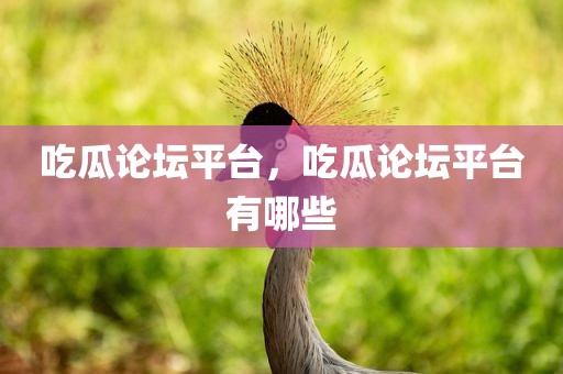 吃瓜论坛平台，吃瓜论坛平台有哪些