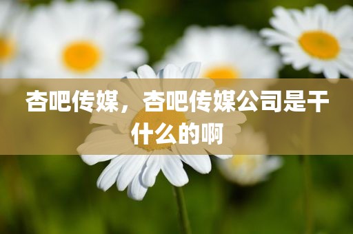 杏吧传媒，杏吧传媒公司是干什么的啊