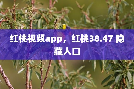 红桃视频app，红桃38.47 隐藏人口