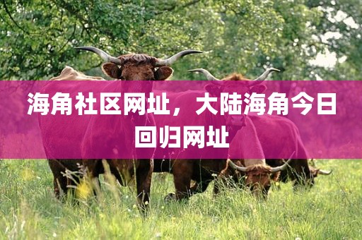 海角社区网址，大陆海角今日回归网址
