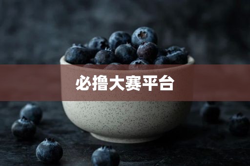 必撸大赛平台