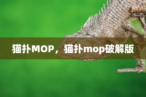 猫扑MOP，猫扑mop破解版