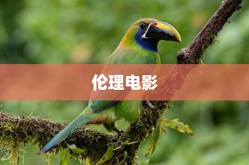 伦理电影