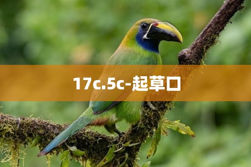 17c.5c-起草口