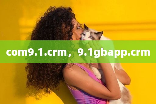 com9.1.crm，9.1gbapp.crm