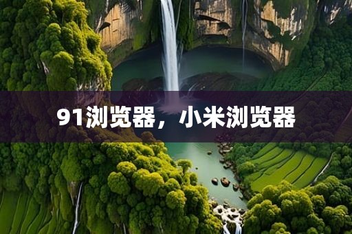 91浏览器，小米浏览器