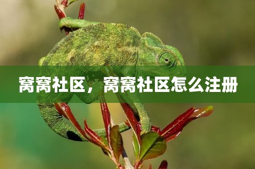 窝窝社区，窝窝社区怎么注册