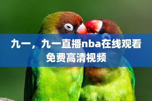 九一，九一直播nba在线观看免费高清视频