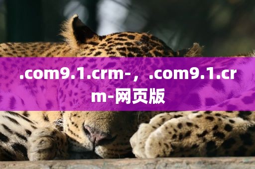 .com9.1.crm-，.com9.1.crm-网页版