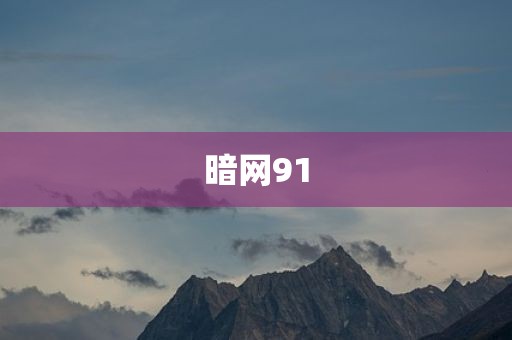 暗网91