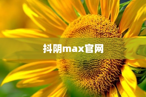 抖阴max官网