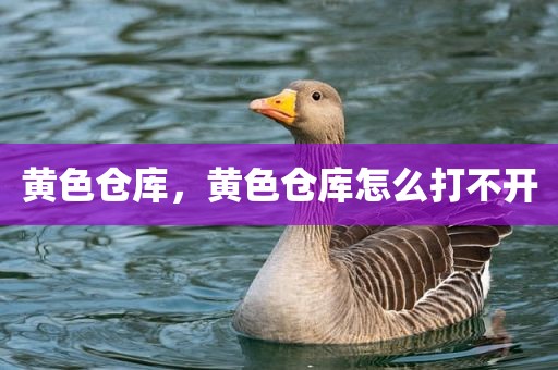 黄色仓库，黄色仓库怎么打不开