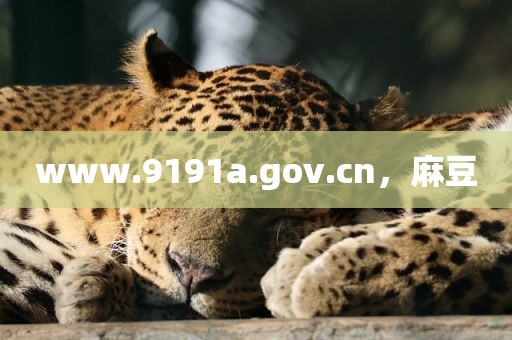 www.9191a.gov.cn，麻豆