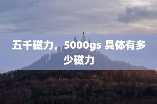 五千磁力，5000gs 具体有多少磁力