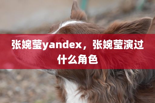 张婉莹yandex，张婉莹演过什么角色