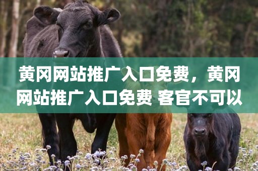 黄冈网站推广入口免费，黄冈网站推广入口免费 客官不可以
