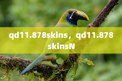 qd11.878skins，qd11.878skinsN