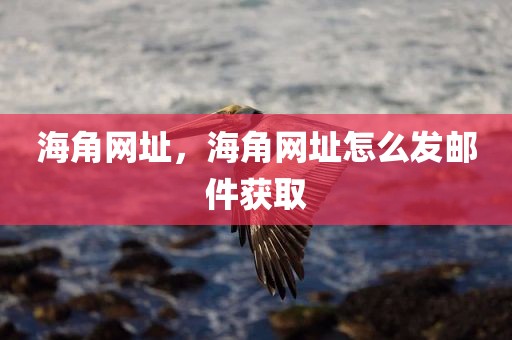 海角网址，海角网址怎么发邮件获取