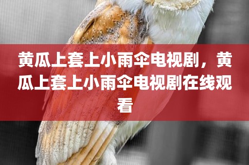 黄瓜上套上小雨伞电视剧，黄瓜上套上小雨伞电视剧在线观看