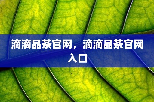 滴滴品茶官网，滴滴品茶官网入口