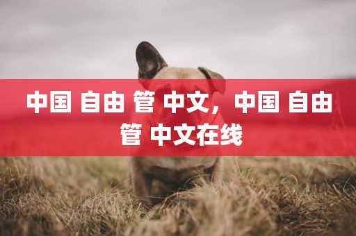 中国 自由 管 中文，中国 自由 管 中文在线
